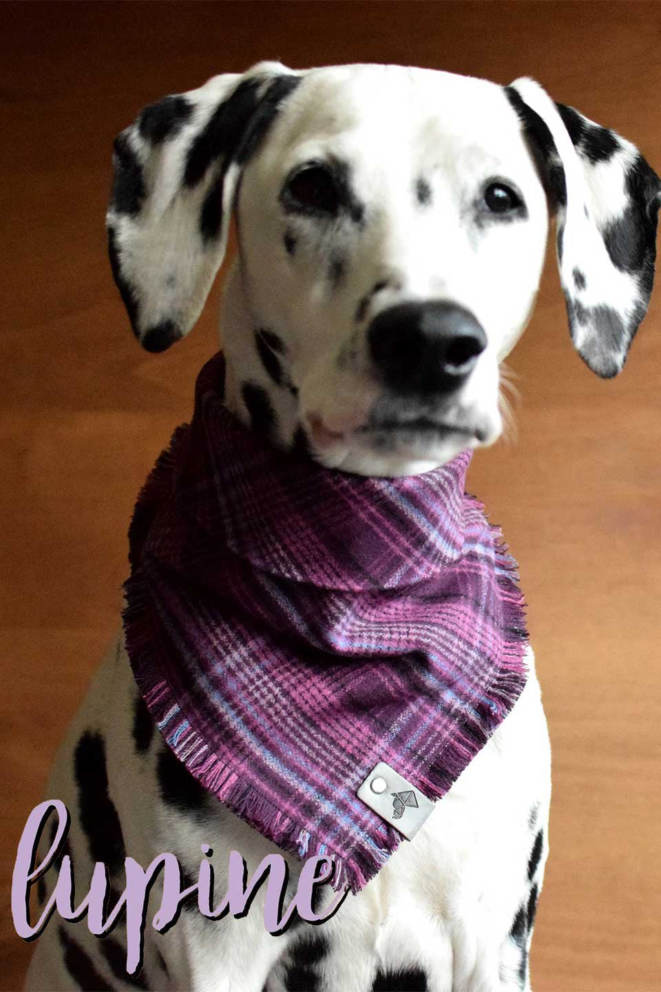 Lupine Fringed Flannel Dog Bandana ルパイン・フリンジドッグバンダナ / DOGDOG GOOSE