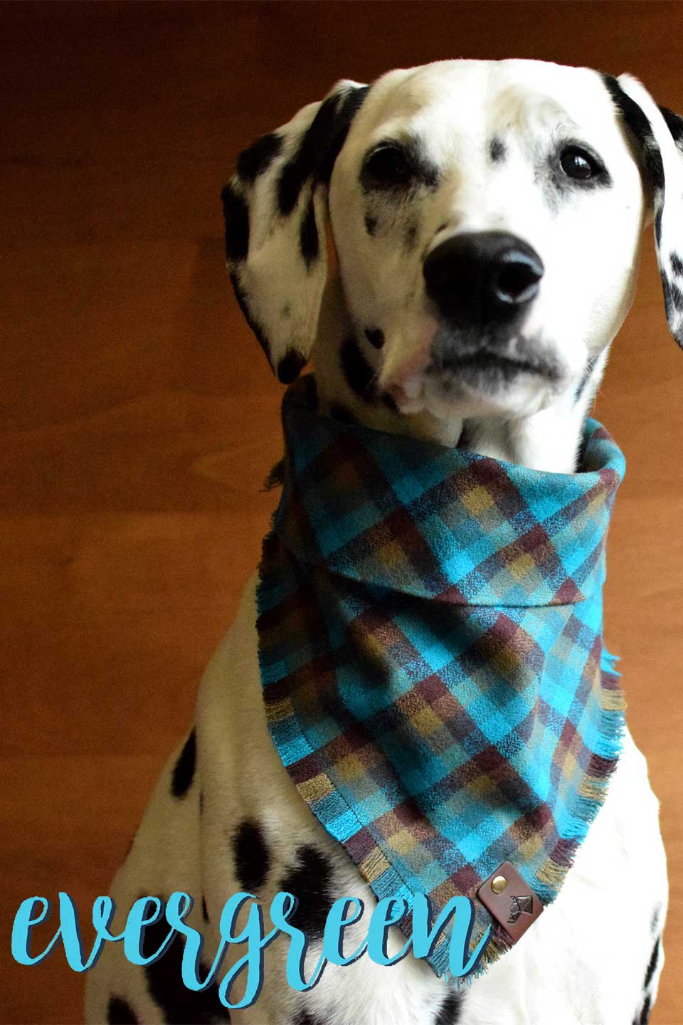 Evergreen Fringed Flannel Dog Bandana エバーグリーン・フリンジドッグバンダナ / DOGDOG GOOSE