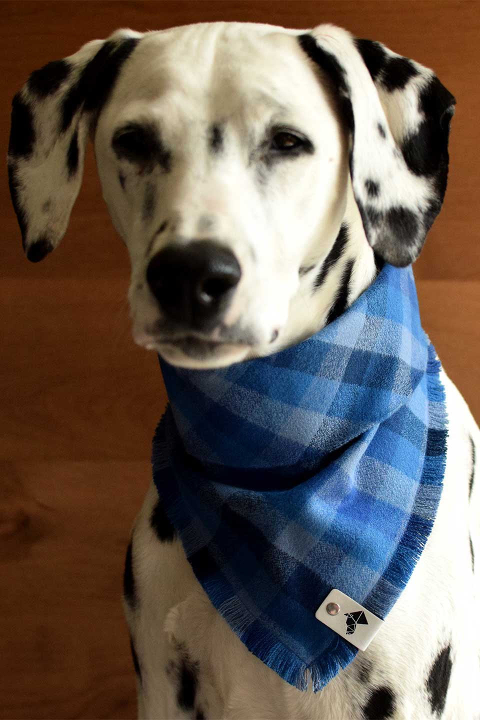 Sapphire Fringed Flannel Dog Bandana サファイア・フリンジドッグバンダナ / DOGDOG GOOSE