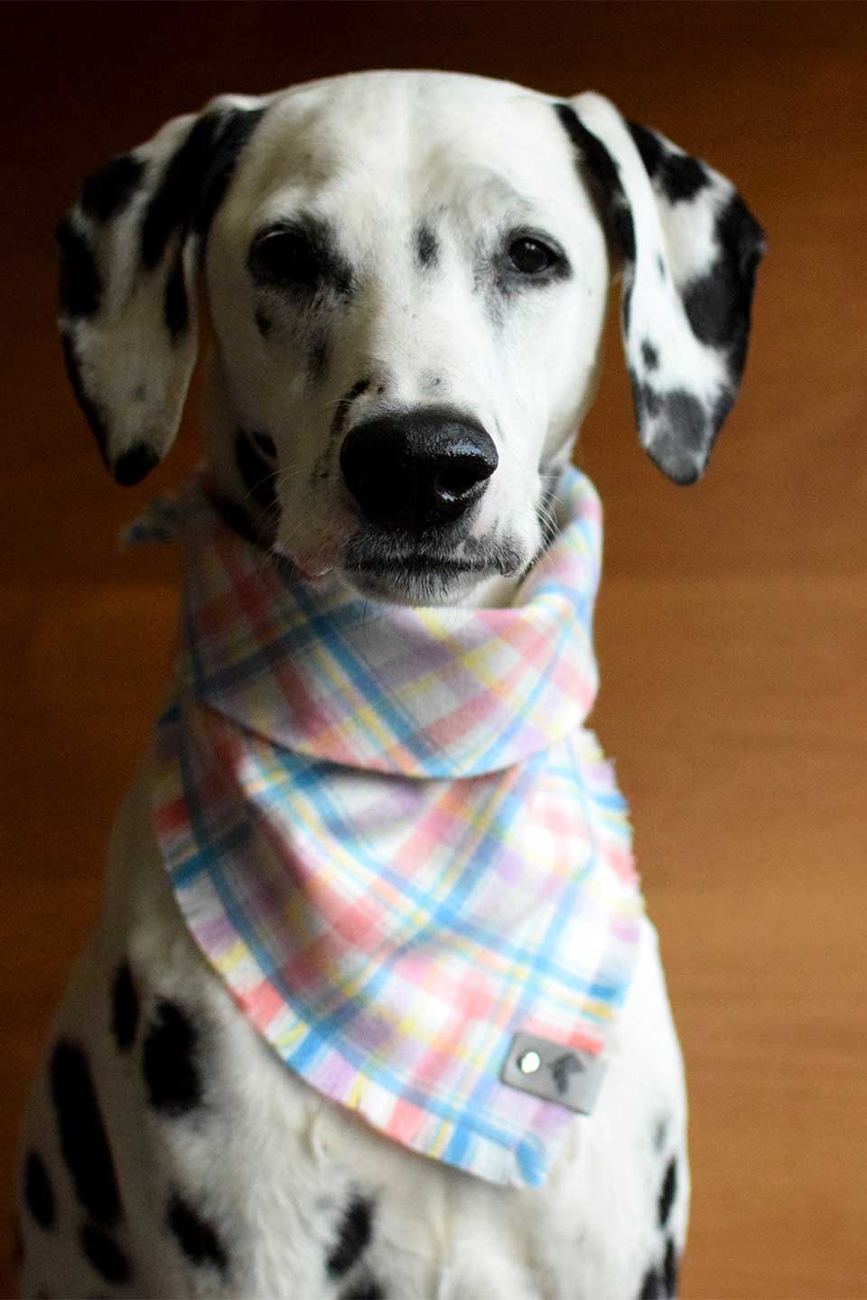 Aura Fringed Flannel Dog Bandana オーラ・フリンジドッグバンダナ / DOGDOG GOOSE
