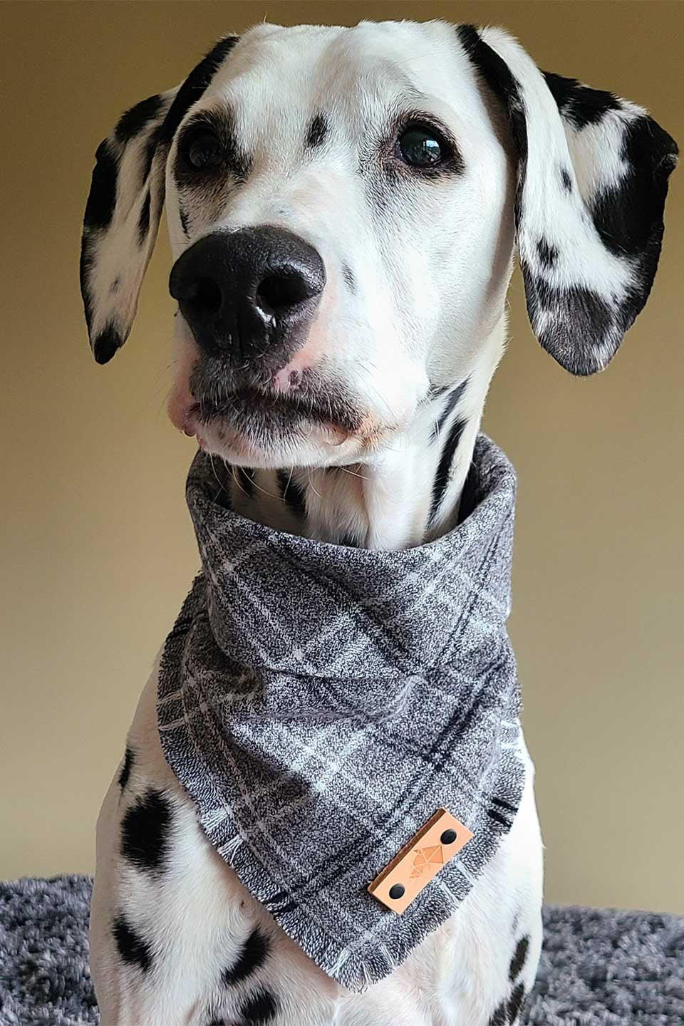 Graphite Fringed Flannel Dog Bandana グラファイト・フリンジドッグバンダナ / DOGDOG GOOSE