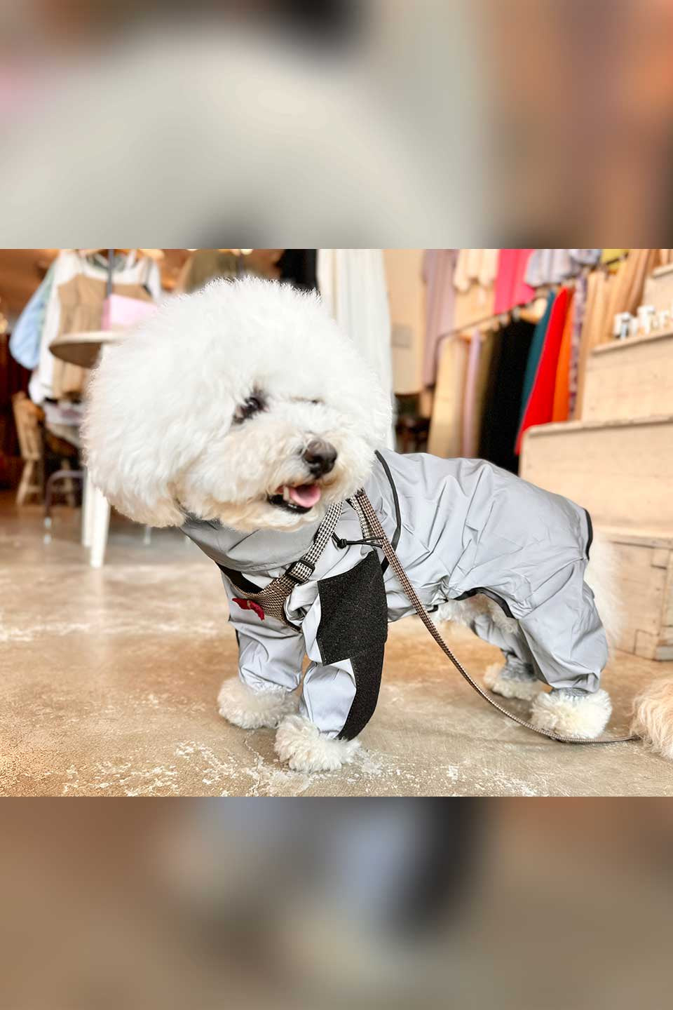 Reflective Full Body Suit 反射素材・犬用レインコート