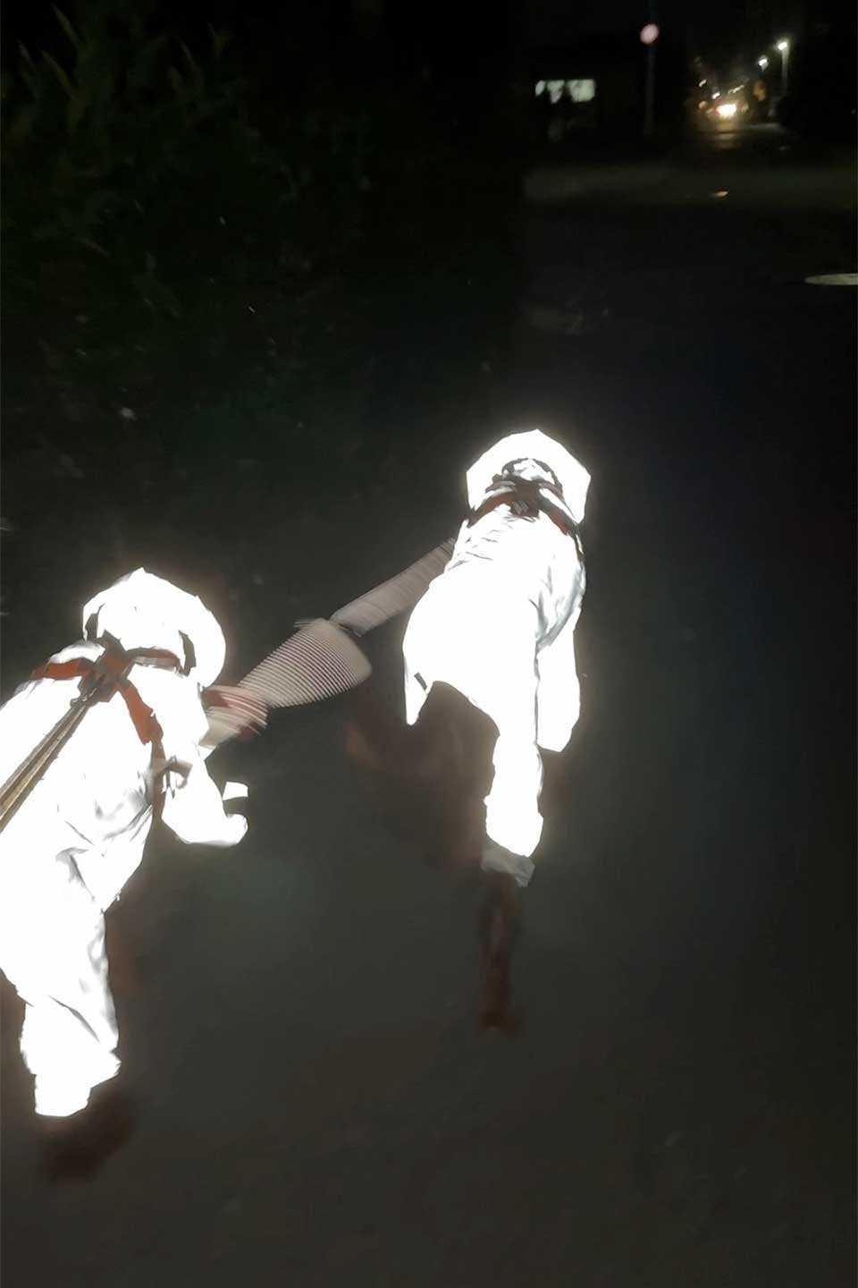 Reflective Full Body Suit 反射素材・犬用レインコート