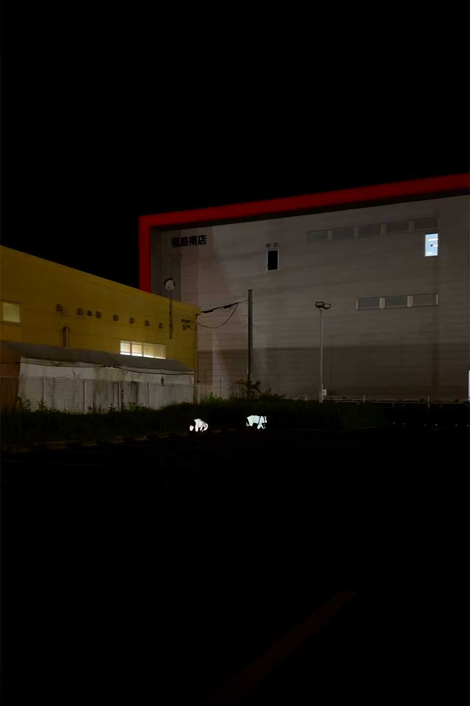 Reflective Full Body Suit 反射素材・犬用レインコート