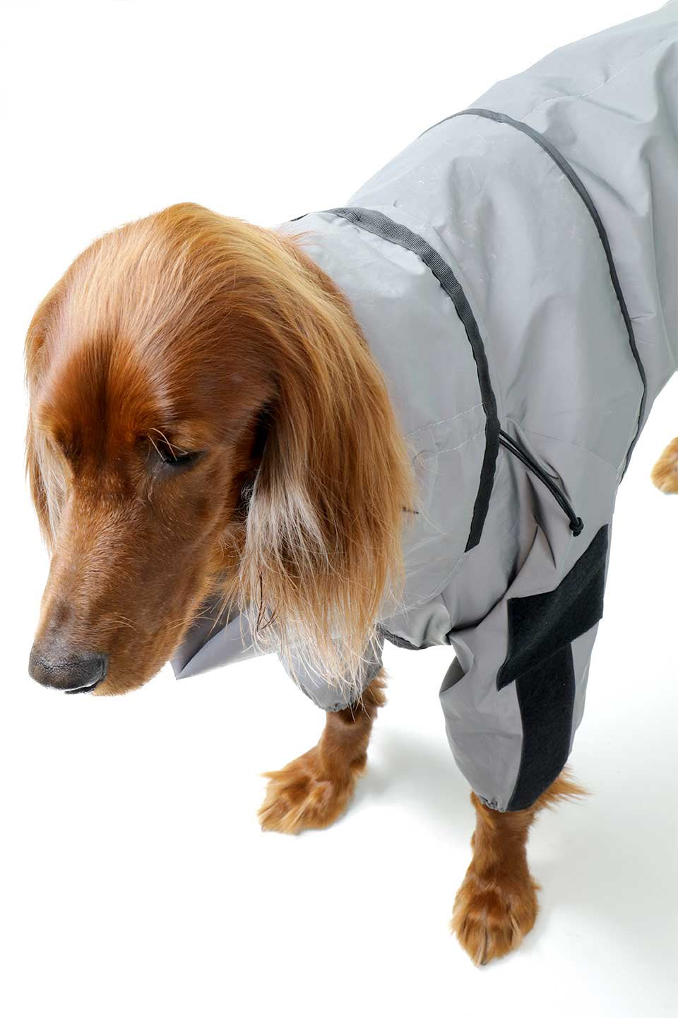 Reflective Full Body Suit 反射素材・犬用レインコート