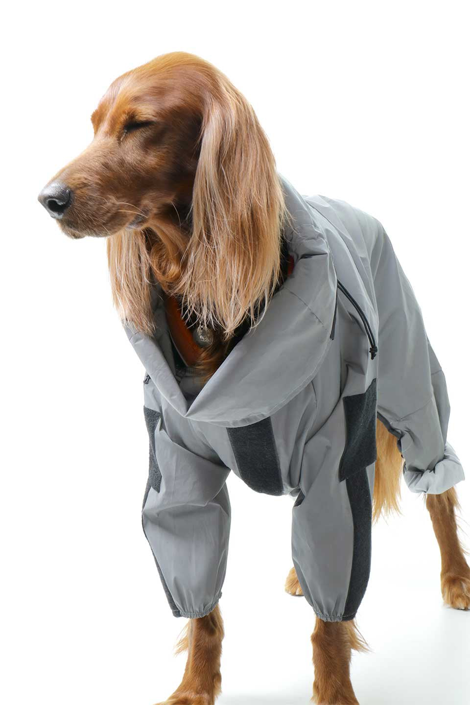 Reflective Full Body Suit 反射素材・犬用レインコート