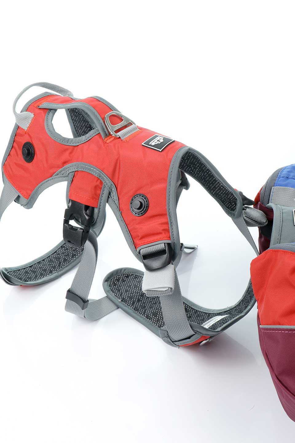 Sunset Dog Backpack / Alpha Pak