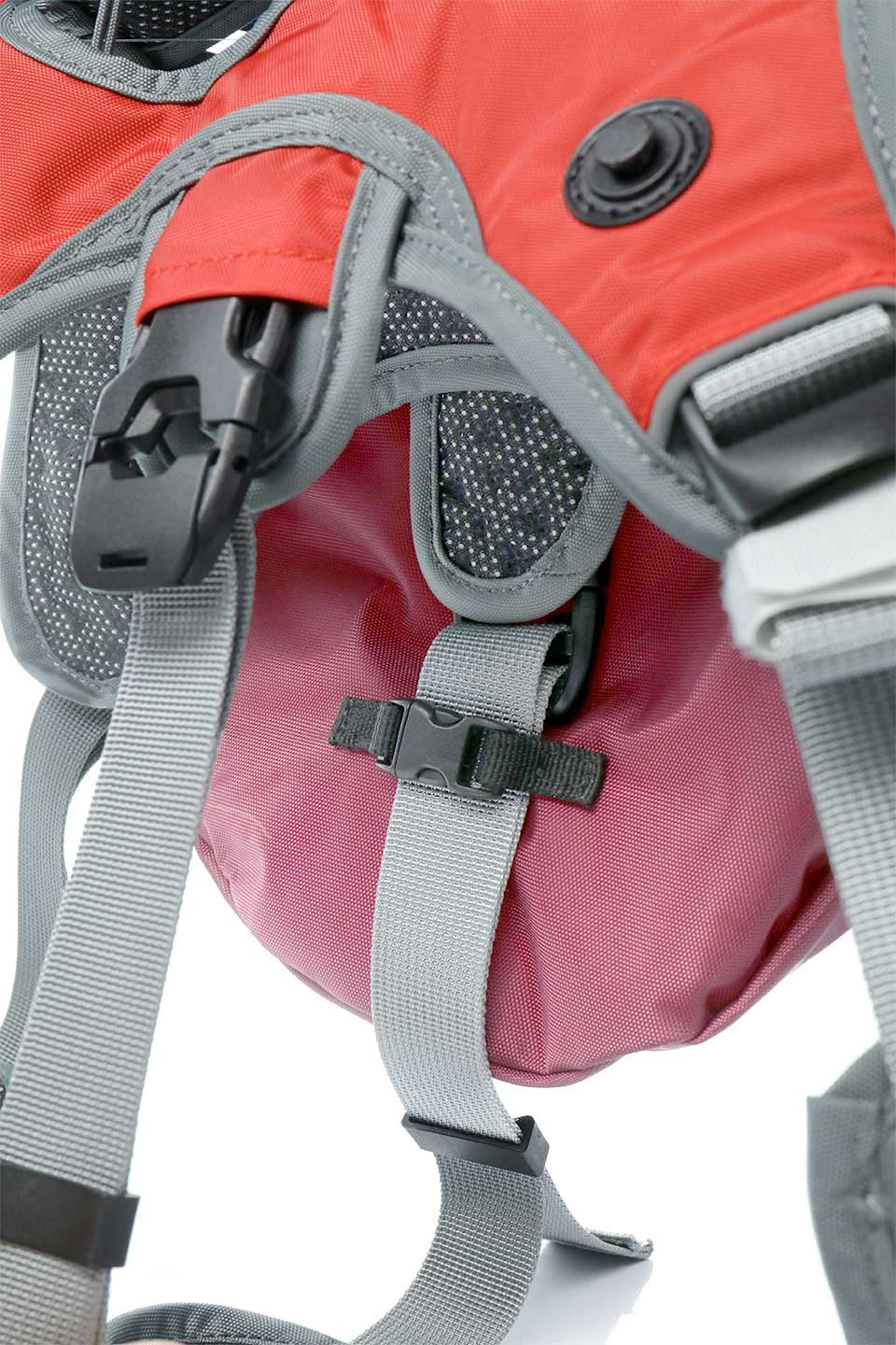 Sunset Dog Backpack / Alpha Pak