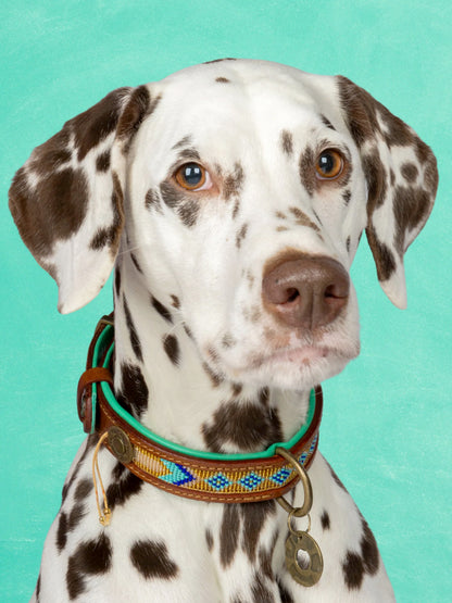 [Pre-order] Paddy Lee Dog Collar / DOG WITH A MISSION