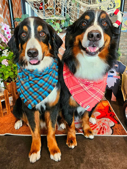 Evergreen Fringe Dog Bandana / DOGDOG GOOSE