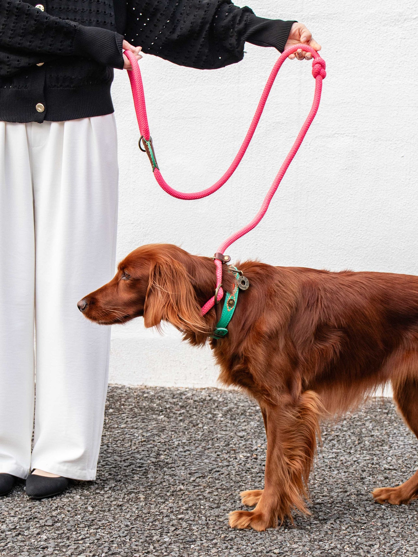 【予約】キャロットケーキ・ロングジョン・スリップリード / DOG WITH A MISSION