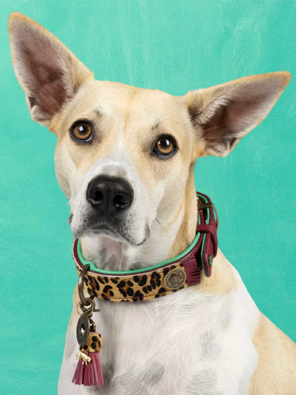 [Pre-order] Lou Lou Lulu Dog Collar / DOG WITH A MISSION