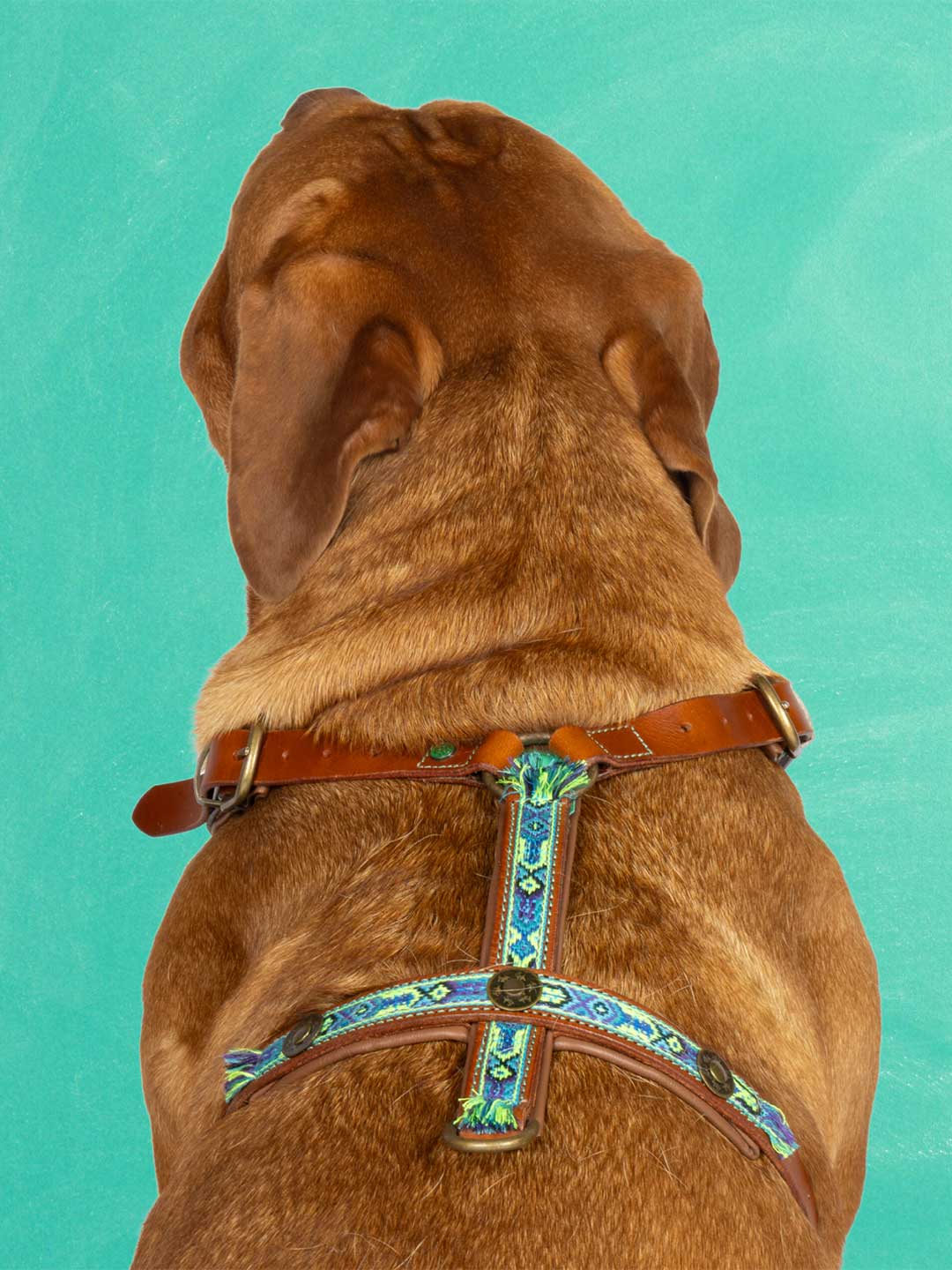 [Pre-order] Rock Dog Harness / DOG WITH A MISSION