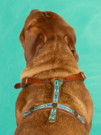 [Pre-order] Rock Dog Harness / DOG WITH A MISSION