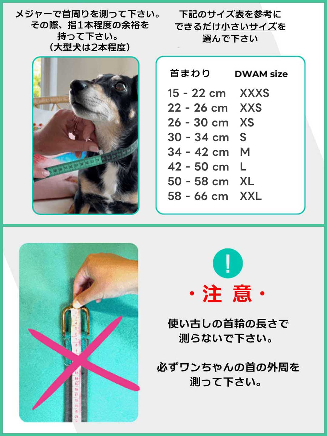 [Pre-order] Teddy Dog Collar / DOG WITH A MISSION