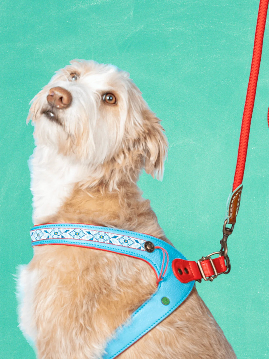 【予約】Dutchie ダッチー・ドッグハーネス / DOG WITH A MISSION