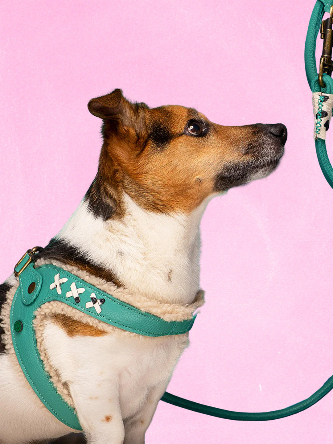 【予約】Frenkie フレンキー・ドッグハーネス / DOG WITH A MISSION