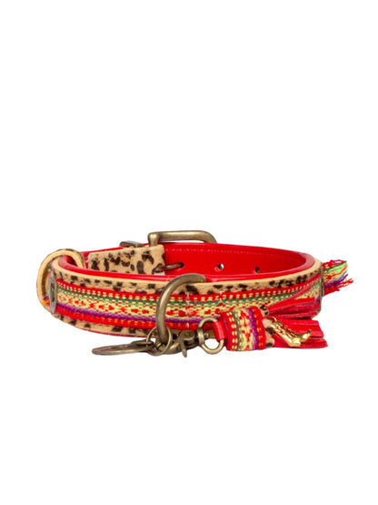 [Pre-order] Paddy Lee Dog Collar / DOG WITH A MISSION