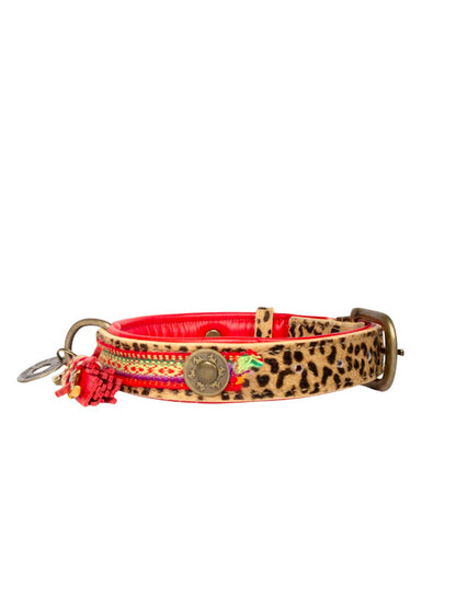 [Pre-order] Paddy Lee Dog Collar / DOG WITH A MISSION