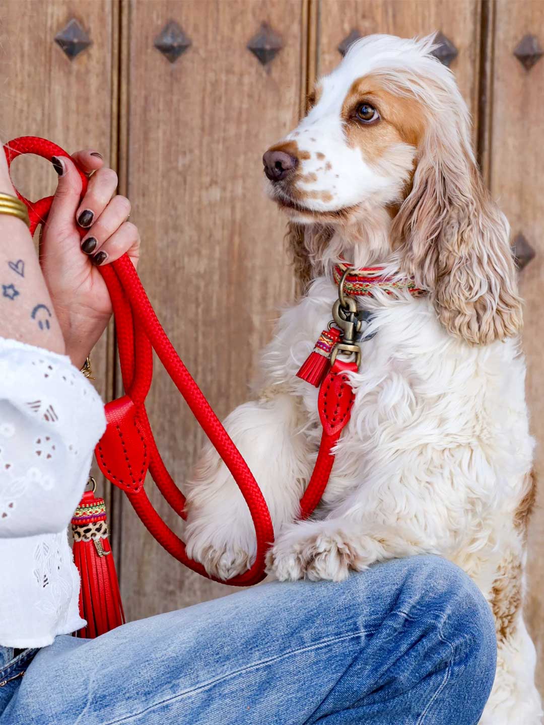 [Pre-order] Paddy Lee Dog Collar / DOG WITH A MISSION