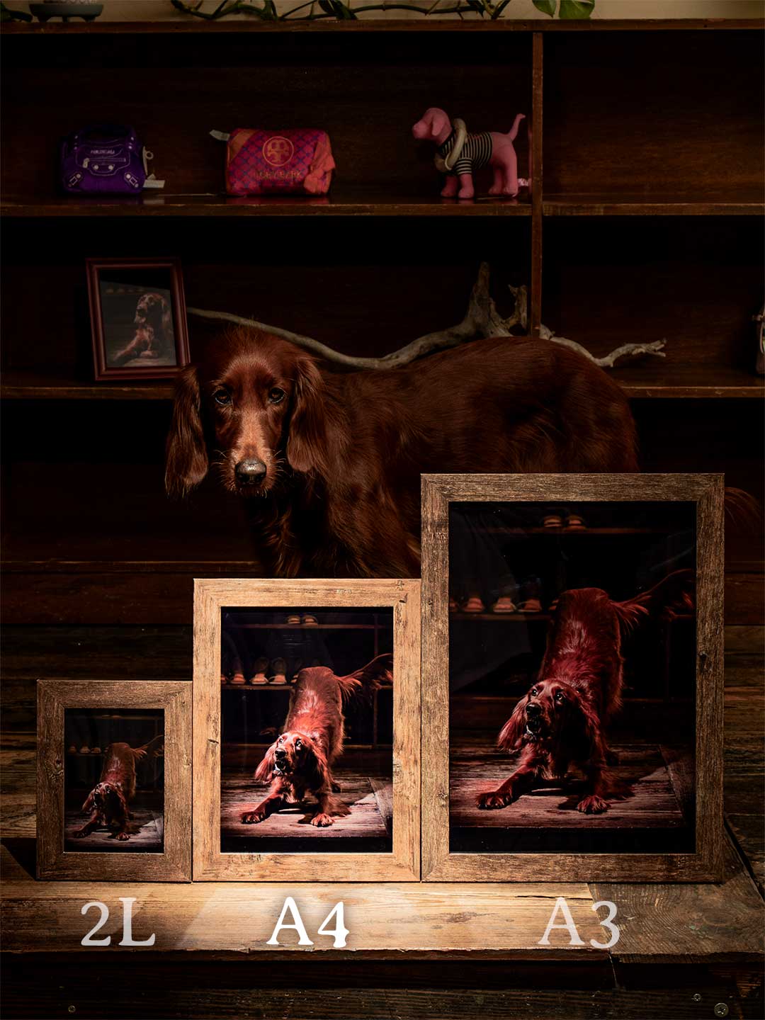 フォトサービスの予約