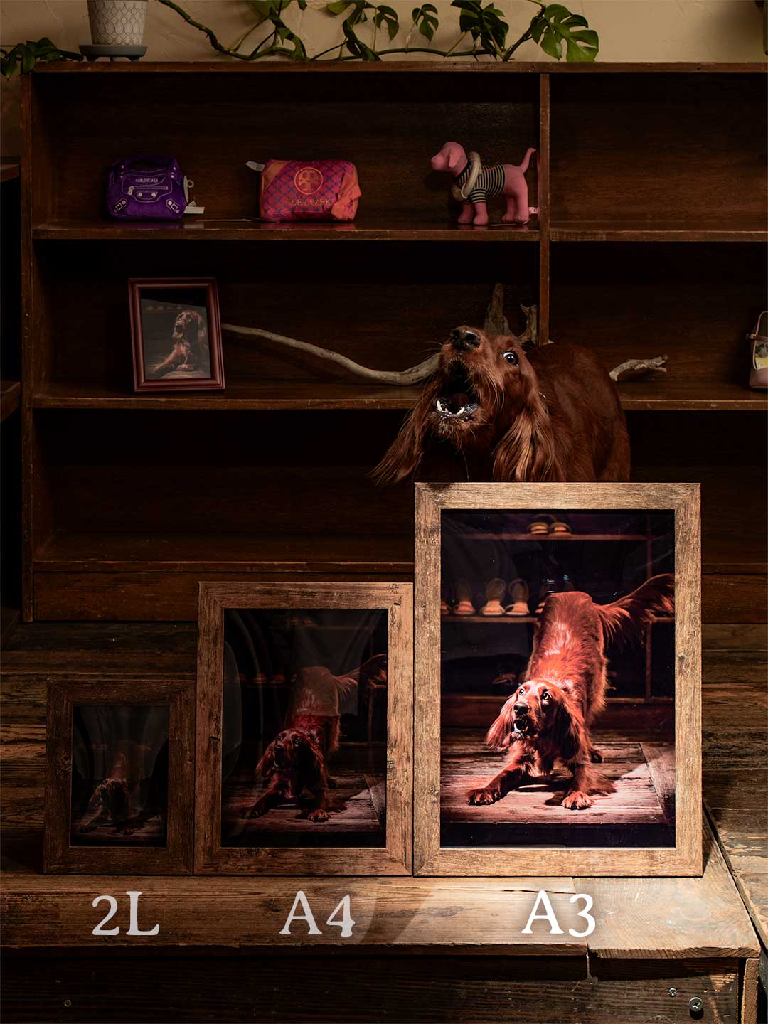 フォトサービスの予約