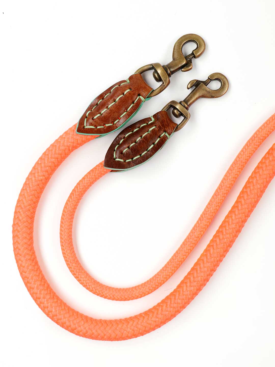 [Pre-order] DOG LEAD Carrot Cake / DOG WITH A MISSION