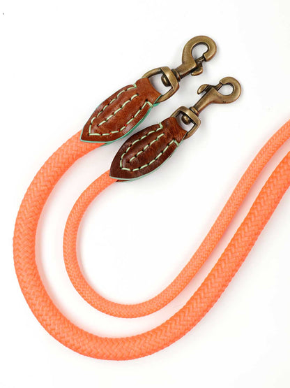 [Pre-order] DOG LEAD Carrot Cake / DOG WITH A MISSION