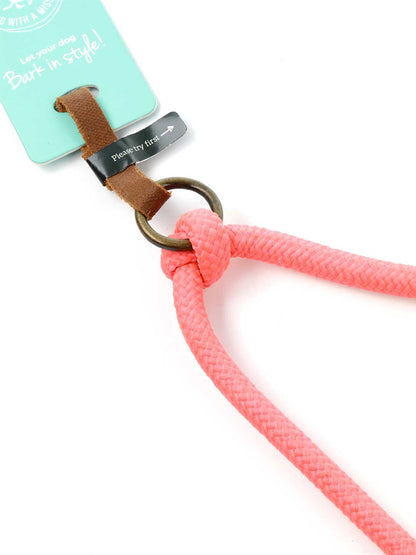 リード・スプリッター・シュガー・ベイブ / DOG WITH A MISSION