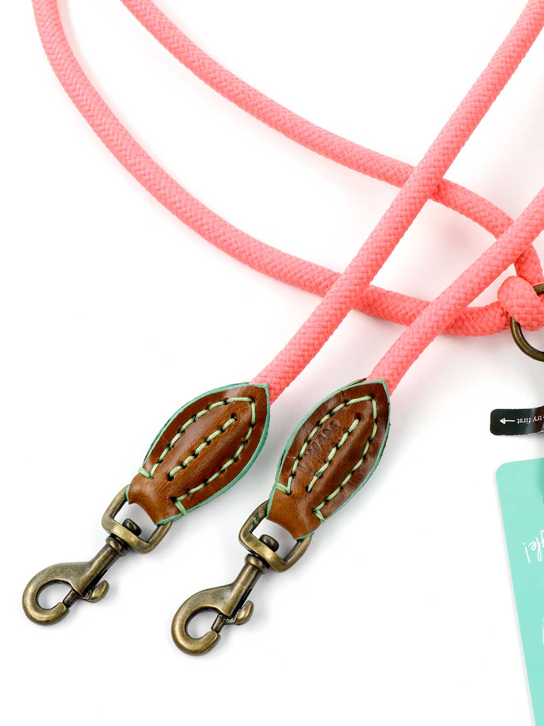 リード・スプリッター・シュガー・ベイブ / DOG WITH A MISSION