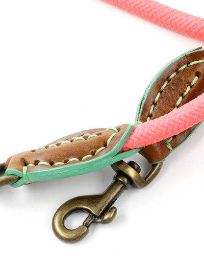 リード・スプリッター・シュガー・ベイブ / DOG WITH A MISSION