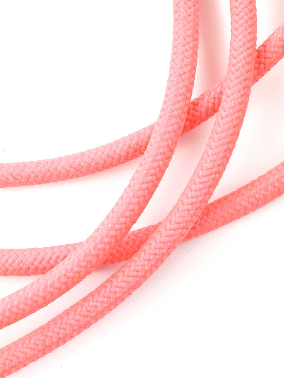 リード・スプリッター・シュガー・ベイブ / DOG WITH A MISSION