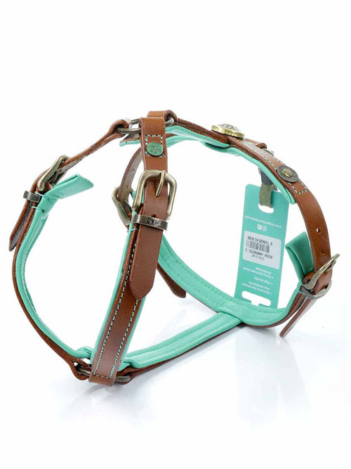 Rock Dog Harness / DOG WITH A MISSION