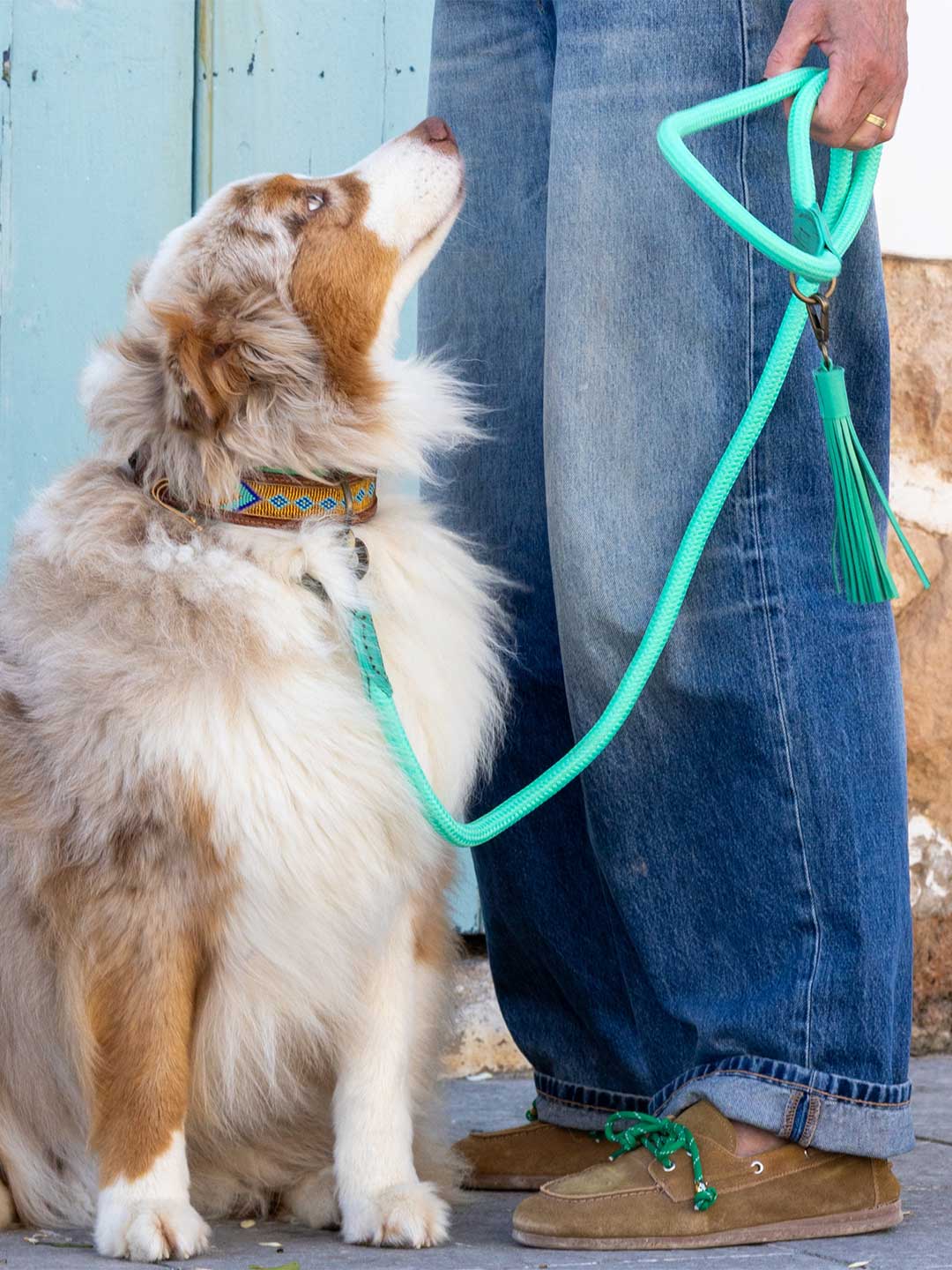 [Pre-order] Dog Lead Dutchie / DOG WITH A MISSION