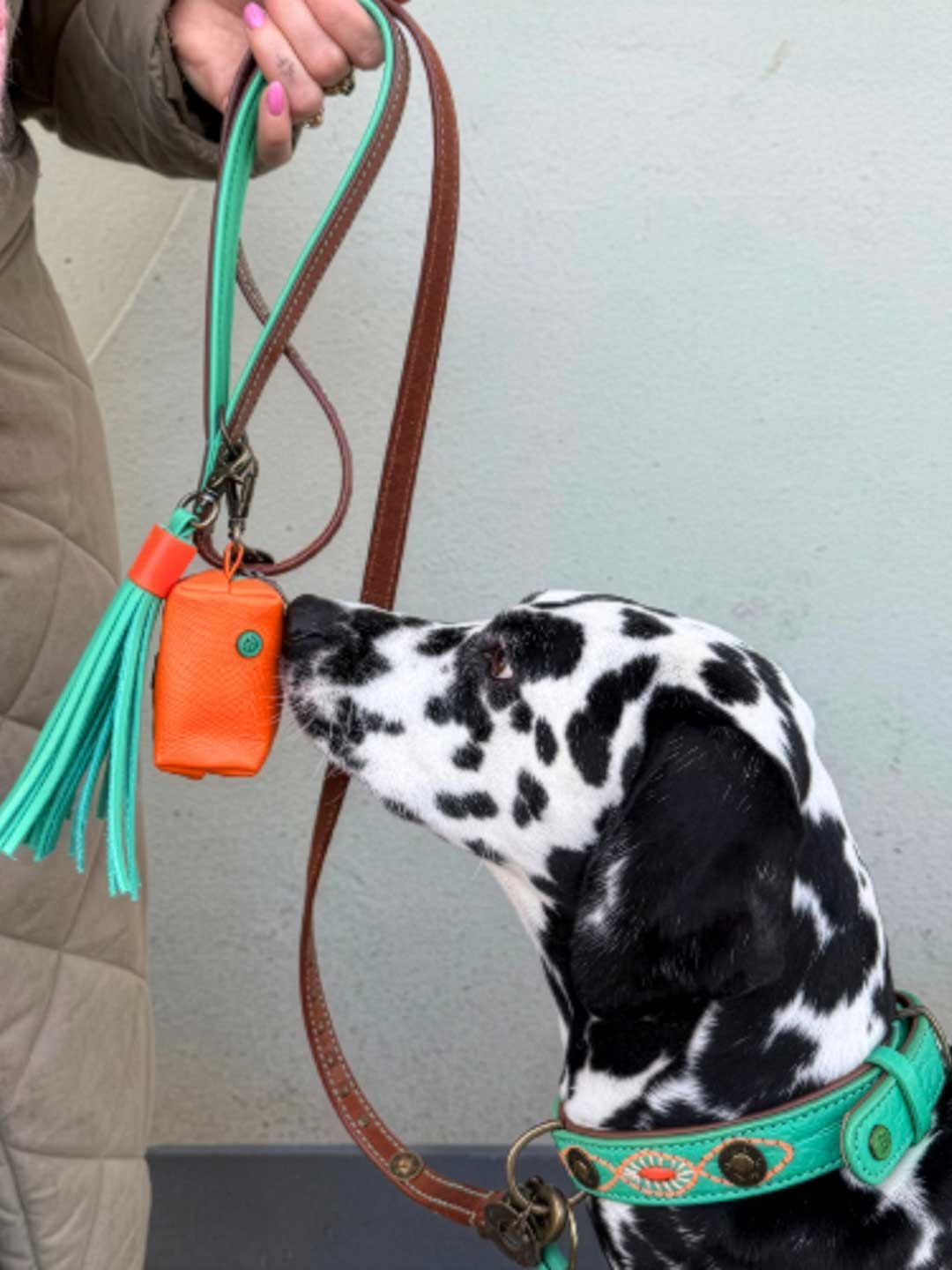 [Pre-order] DWAM Poop Bag Holder / DOG WITH A MISSION