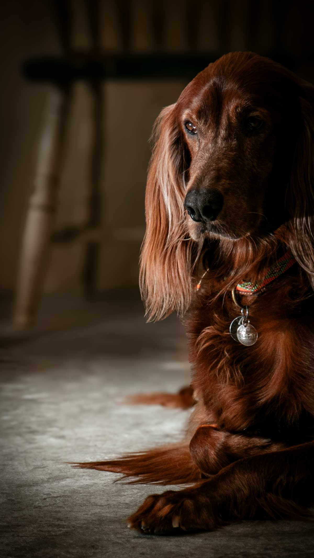 TOC-TOP-SP.jpg__PID:5c2086b2-7e01-47f4-adf8-0607f0871fb2