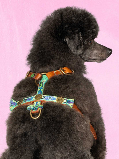 [Pre-order] Rock Dog Harness / DOG WITH A MISSION