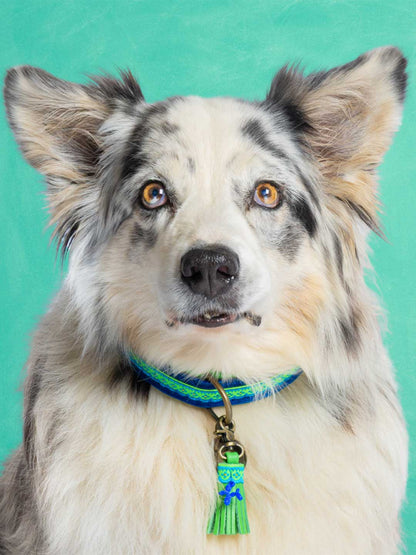 [Pre-order] Paddy Lee Dog Collar / DOG WITH A MISSION