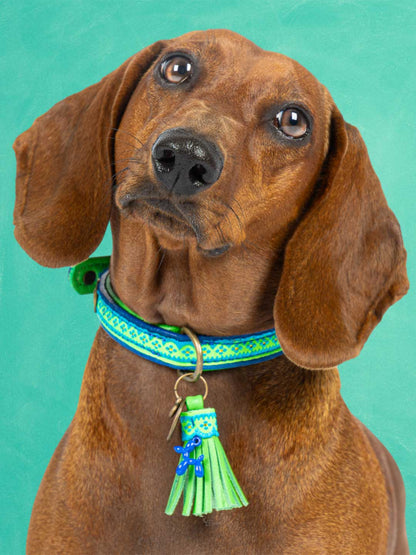 [Pre-order] Paddy Lee Dog Collar / DOG WITH A MISSION