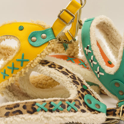 [Pre-order] Paddy Lee Dog Collar / DOG WITH A MISSION