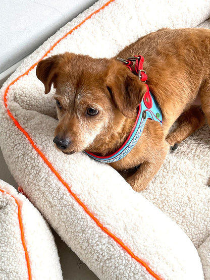 【予約】Dutchie ダッチー・ドッグハーネス / DOG WITH A MISSION