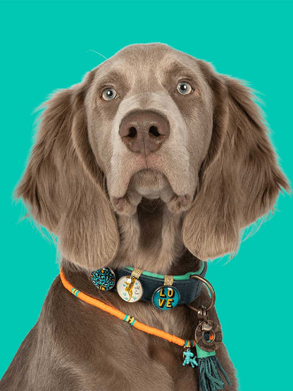 [Pre-order] Dog Necklace Balloon / DOG WITH A MISSION