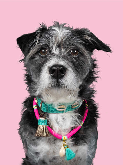 [Pre-order] Dog Necklace Bondi Beach / DOG WITH A MISSION