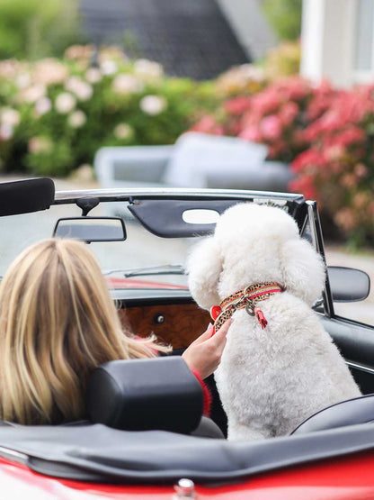 【予約】Gypsy ジプシー・ドッグカラー / DOG WITH A MISSION