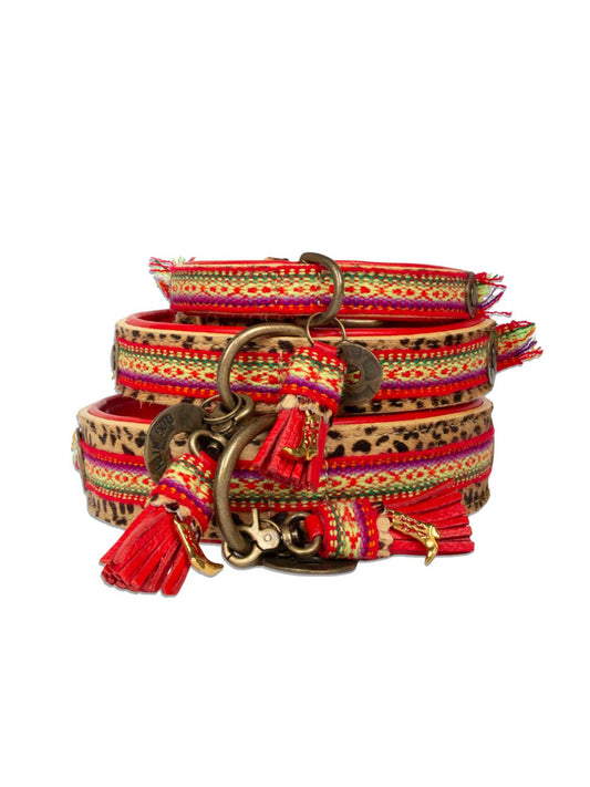 【予約】Gypsy ジプシー・ドッグカラー / DOG WITH A MISSION