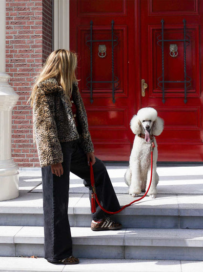 【予約】Gypsy ジプシー・ドッグカラー / DOG WITH A MISSION