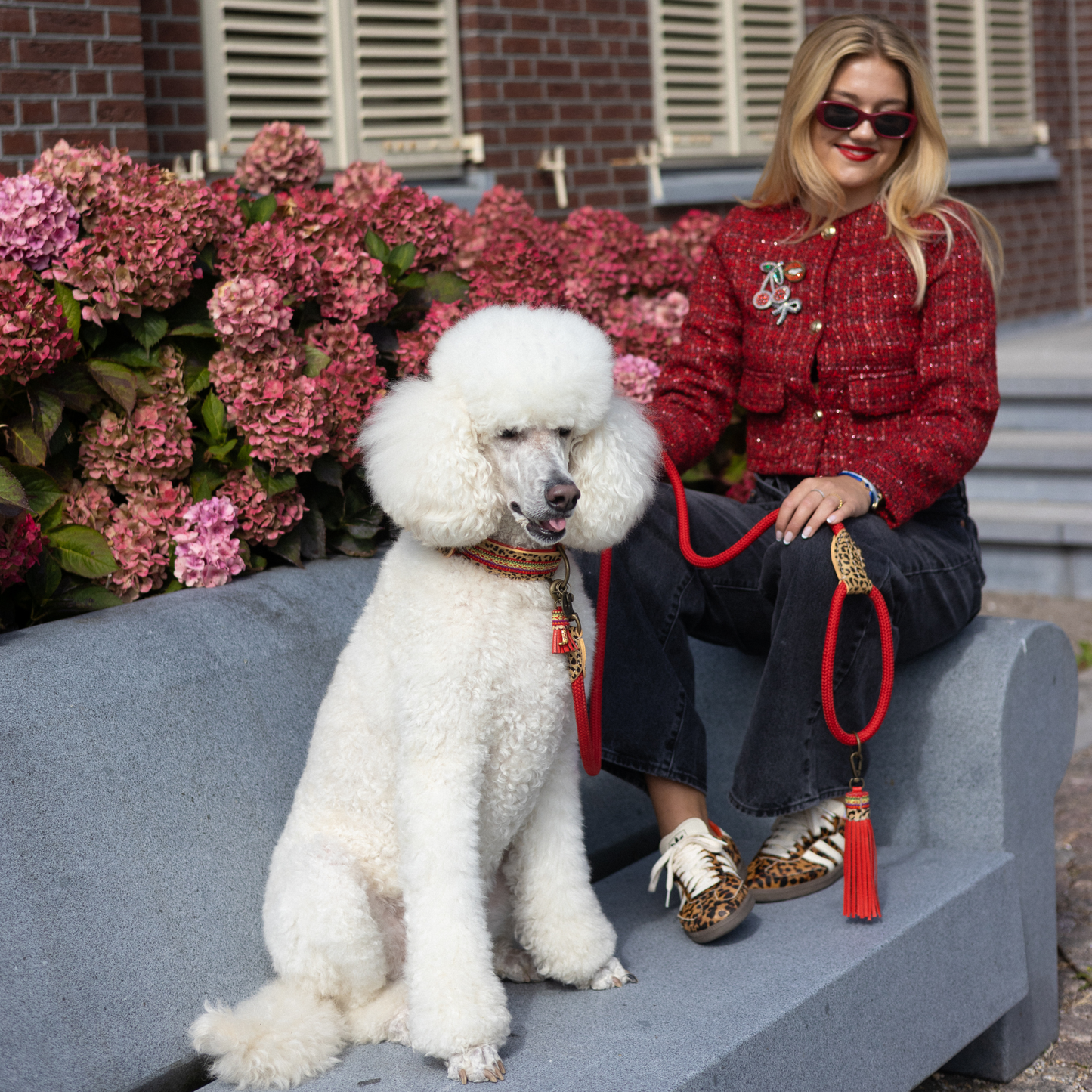 【予約】Gypsy ジプシー・ドッグカラー / DOG WITH A MISSION