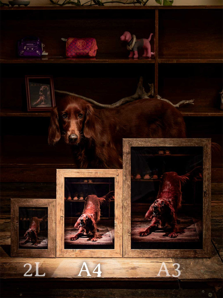 フォトサービスの予約