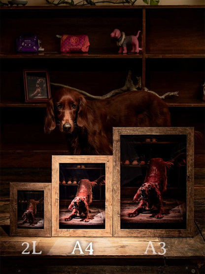 フォトサービスの予約