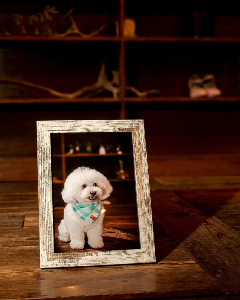 フォトサービスの予約